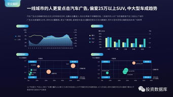 国双数据中心2017年互联网发展报告 互联网数据服务的前景与挑战